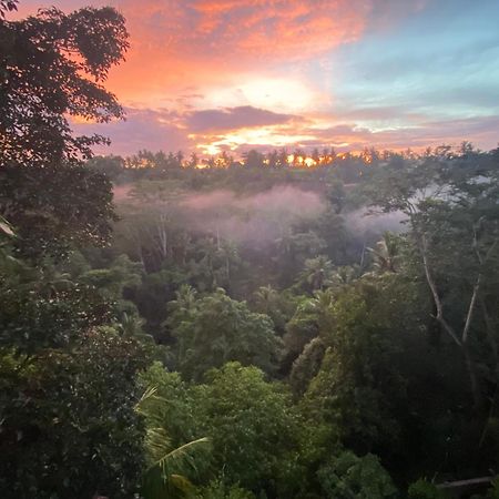 D'Tepi Ubud House Dış mekan fotoğraf
