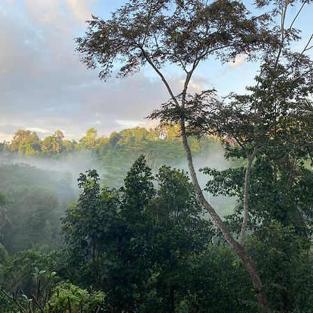 D'Tepi Ubud House Dış mekan fotoğraf