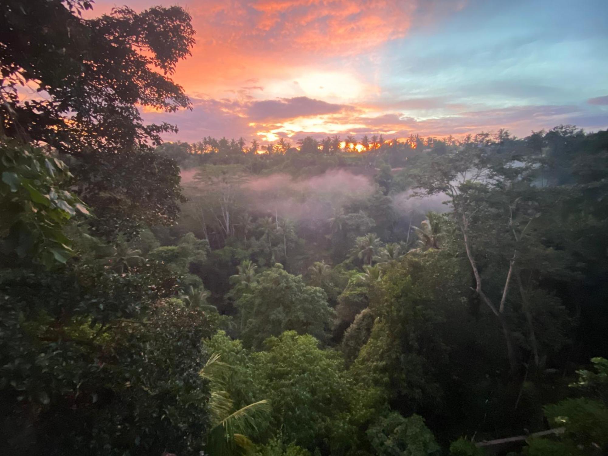 D'Tepi Ubud House Dış mekan fotoğraf