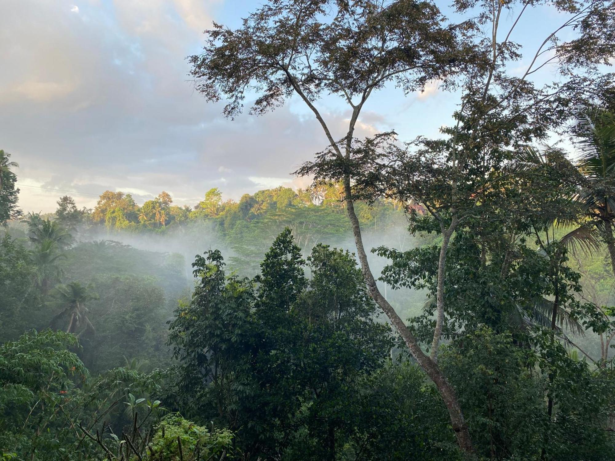D'Tepi Ubud House Dış mekan fotoğraf